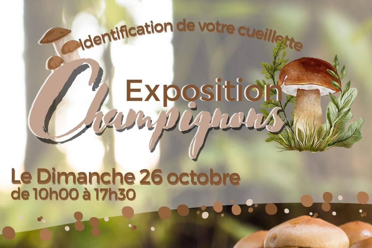 Exposition Champignons - Identification cueillette