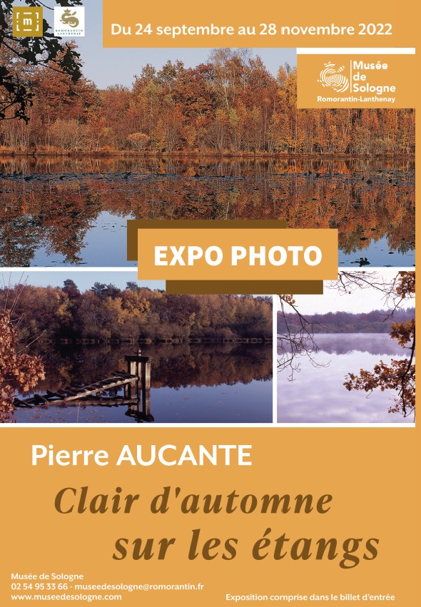 Exposition au musée de Sologne Pierre Aucante Clair d'automne sur les étangs
