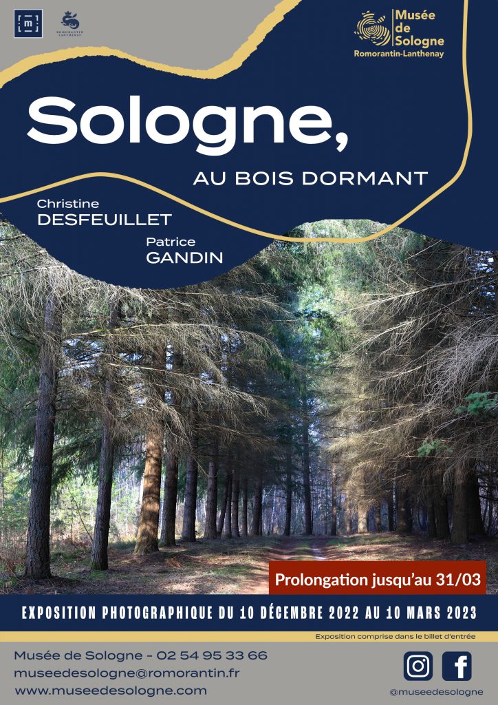 Exposition au musée de Sologne, "Sologne au Bois Dormant"