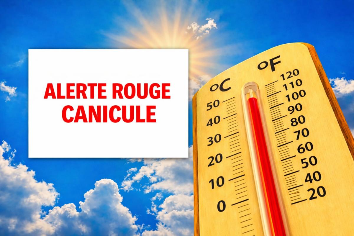 Alerte rouge canicule à compter du 11 juillet, midi.